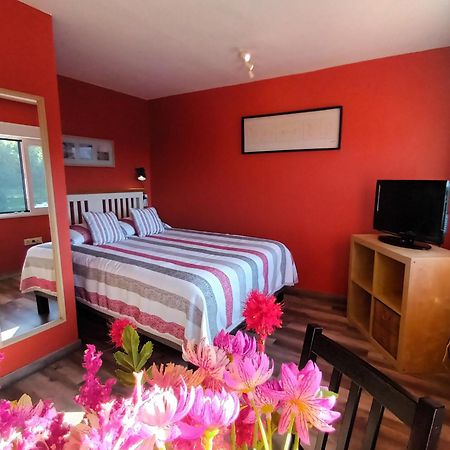 Apartamentos La Casa Del Pintor Cudillero Kamer foto
